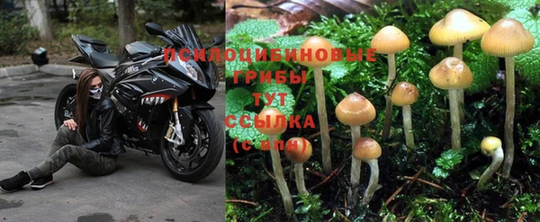 стафф Абдулино