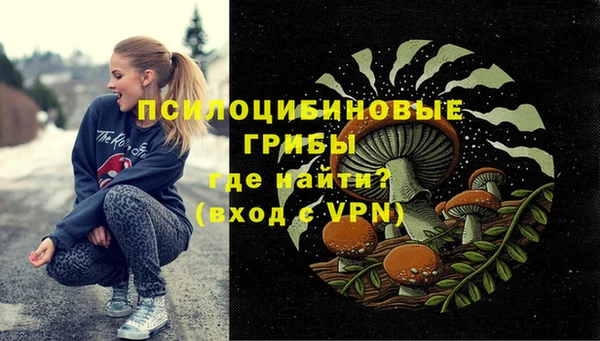 соль ск Краснослободск