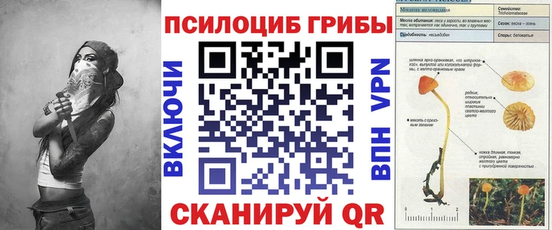Псилоцибиновые грибы Psilocybe Саратов