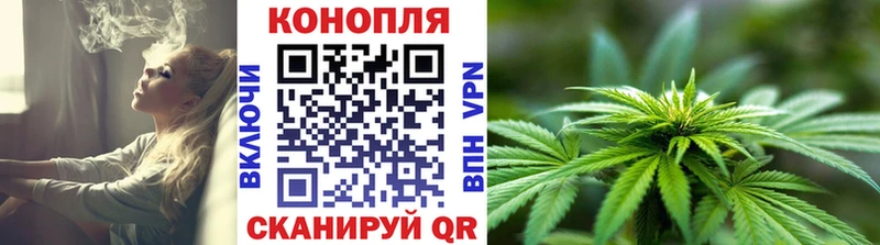 Бошки Шишки VHQ  Саратов 